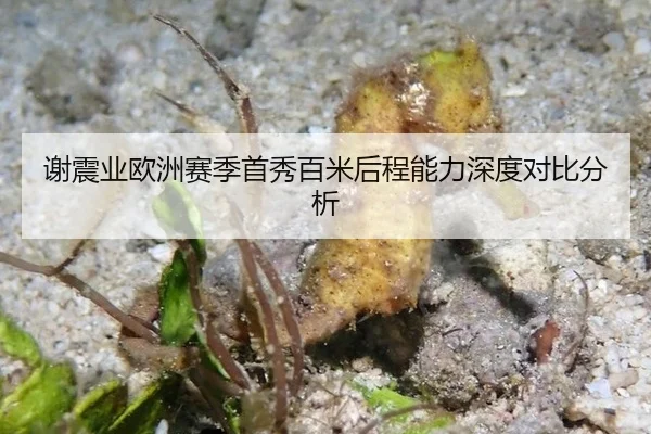 谢震业欧洲赛季首秀百米后程能力深度对比分析